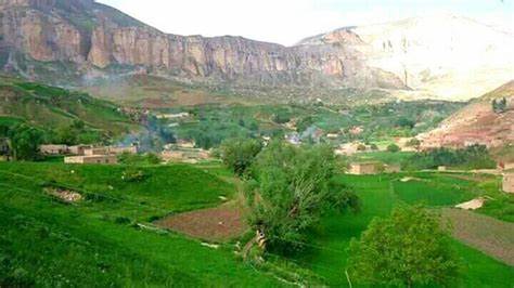 The mysterious killing of five people in Samangan